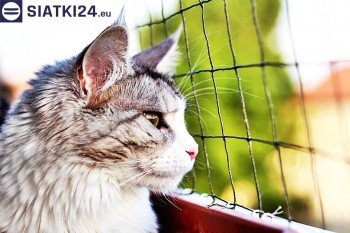 Siatki Barlinek - Siatka na balkony dla kota i zabezpieczenie dzieci dla terenów Barlinka