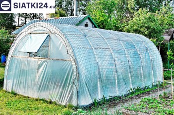 Siatki Barlinek - Odporna na wiatr folia ochronna dla upraw warzywnych w tunelach dla terenów Barlinka